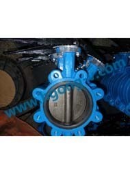 DIN Cast iron Lug wafer butterfly valve